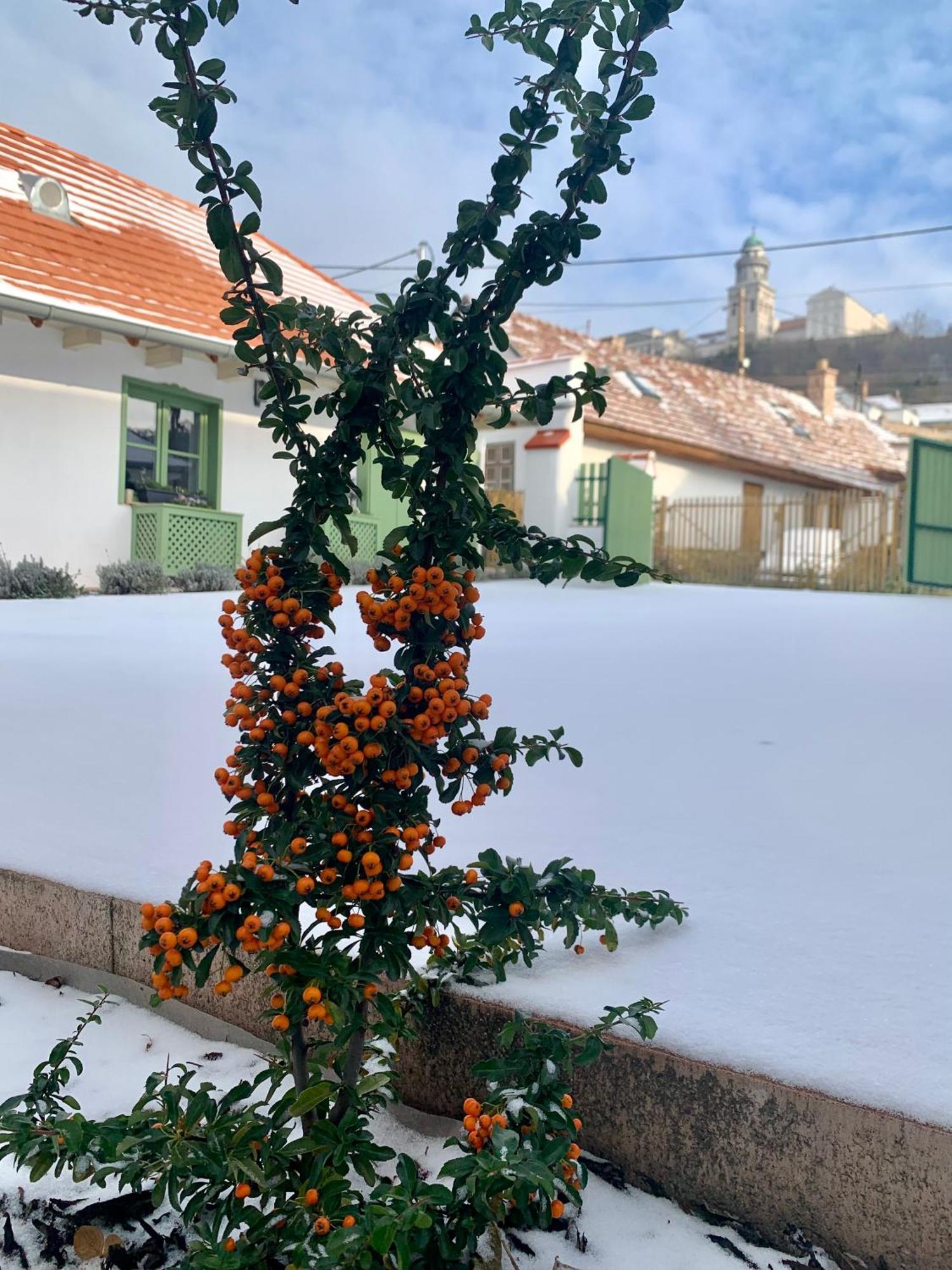 Varlak Vendeghaz *